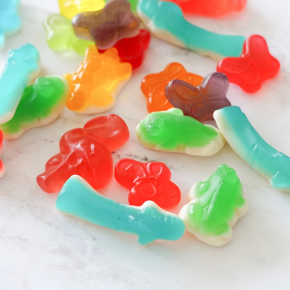 Colourful Animals - Gummy Candies